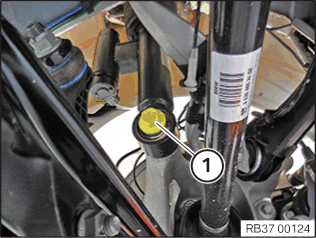 Removing and installing/replacing rear left or right air suspension strut