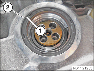 Removing and installing/replacing vibration damper
